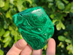 Polished Flower Malachite Free Forms x 6 From Congo - Toprock Gemstones and Minerals 