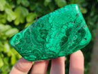 Polished Flower Malachite Free Forms x 6 From Congo - Toprock Gemstones and Minerals 