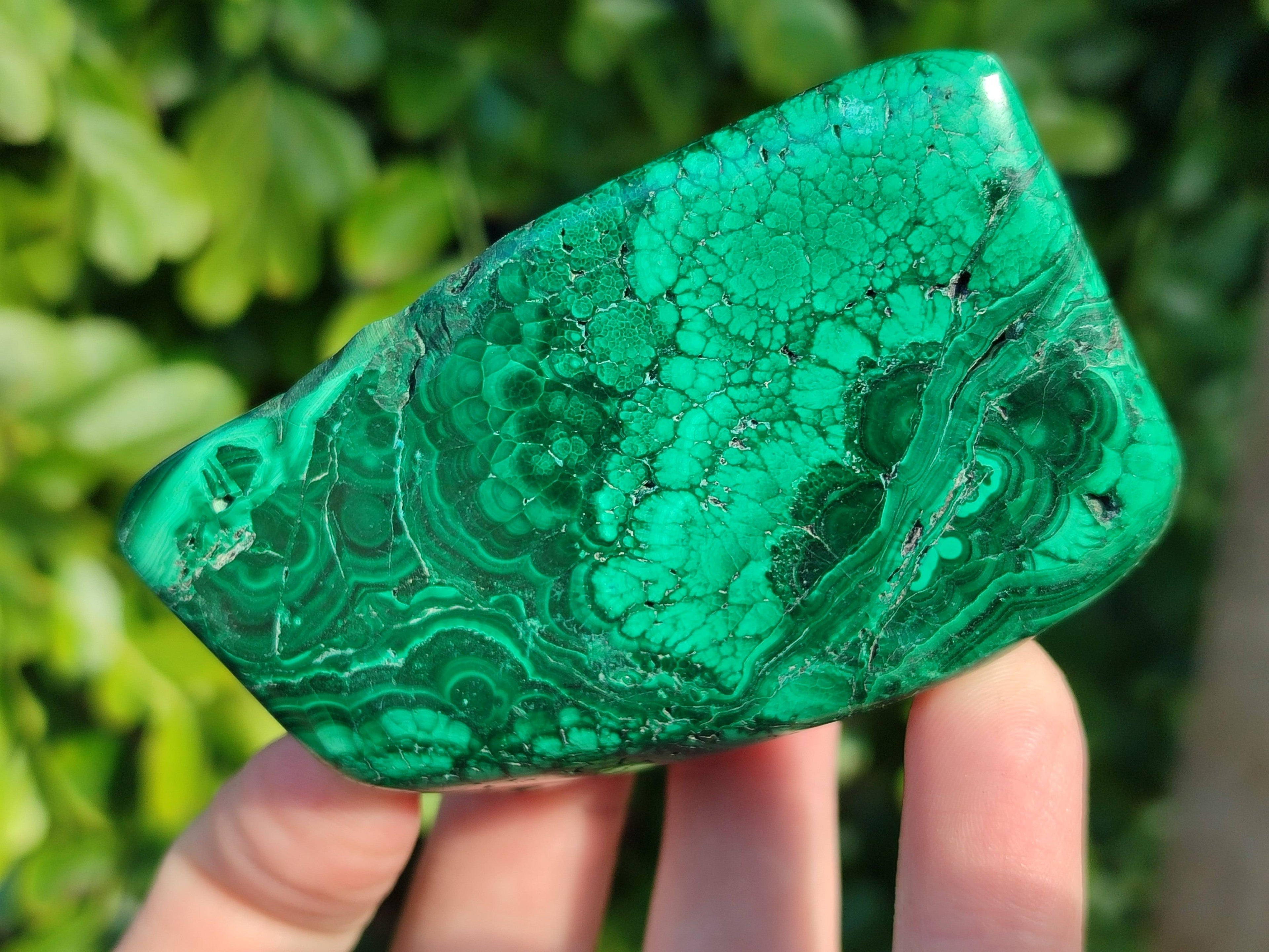 Polished Flower Malachite Free Forms x 6 From Congo - Toprock Gemstones and Minerals 