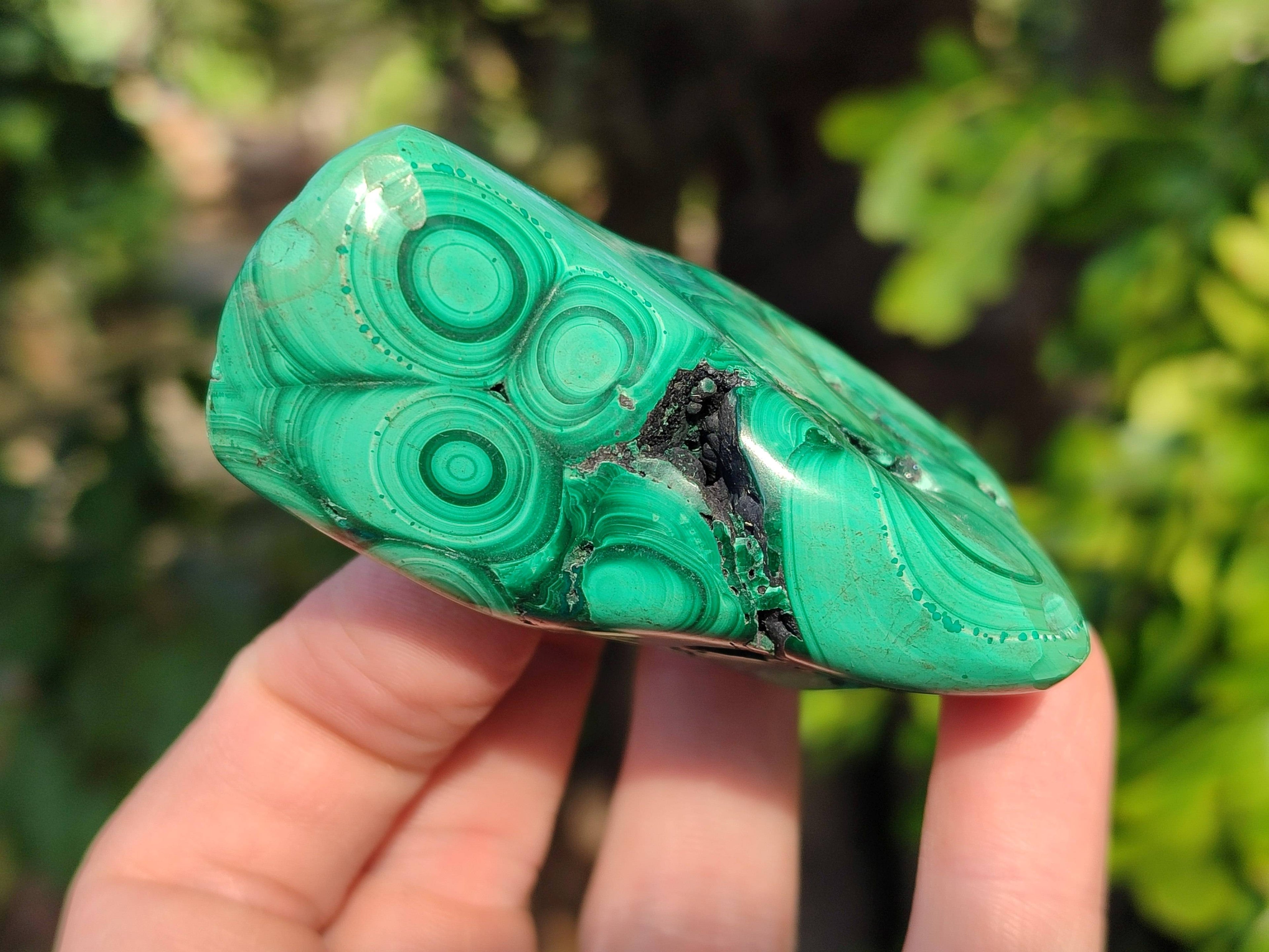 Polished Flower Malachite Free Forms x 6 From Congo - Toprock Gemstones and Minerals 