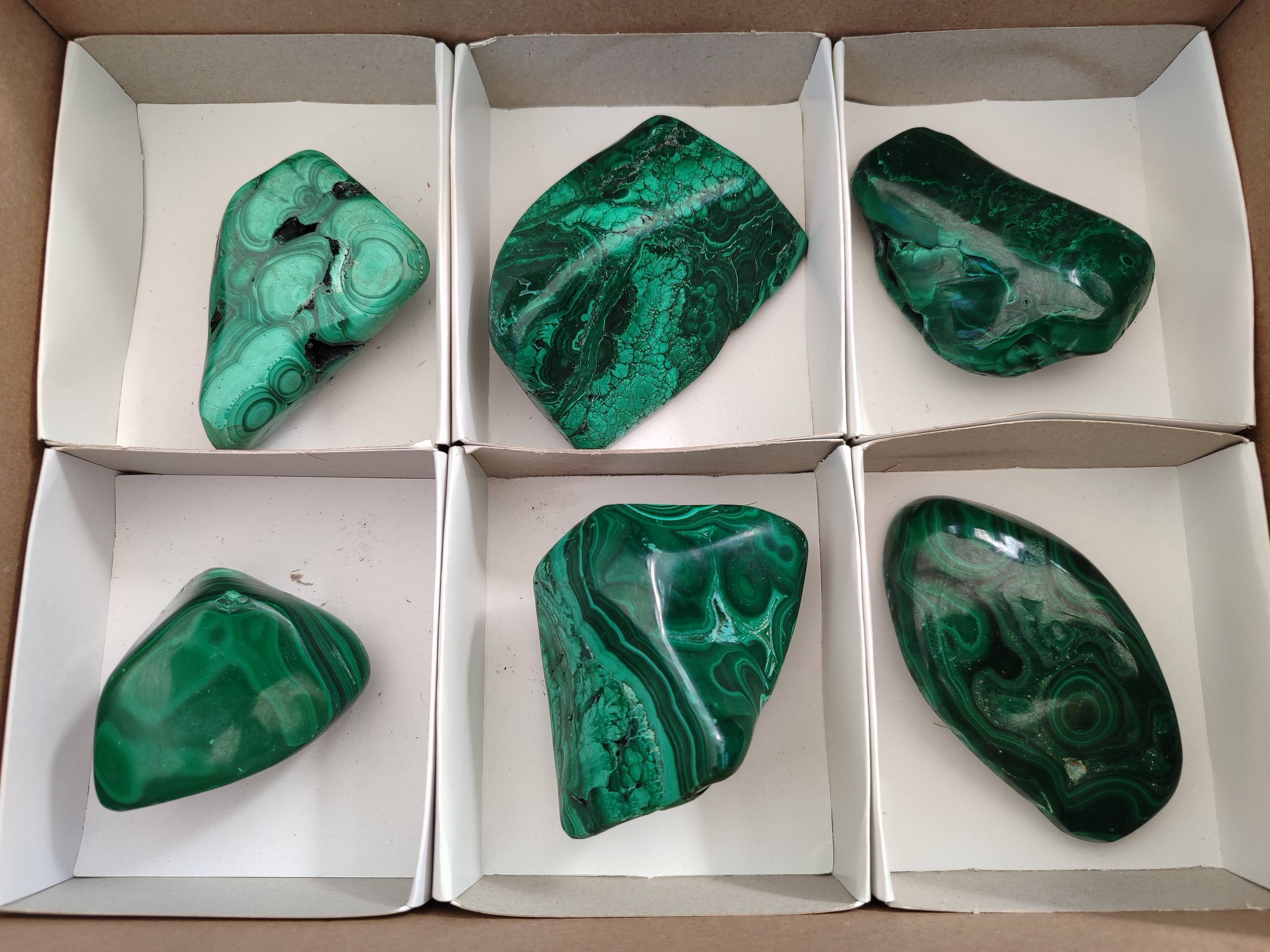 Polished Flower Malachite Free Forms x 6 From Congo - Toprock Gemstones and Minerals 