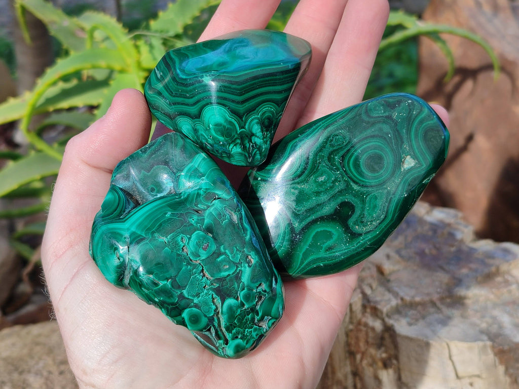 Polished Flower Malachite Free Forms x 6 From Congo - Toprock Gemstones and Minerals 