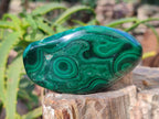 Polished Flower Malachite Free Forms x 6 From Congo - Toprock Gemstones and Minerals 