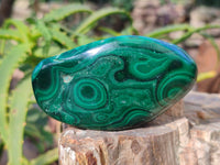 Polished Flower Malachite Free Forms x 6 From Congo - Toprock Gemstones and Minerals 