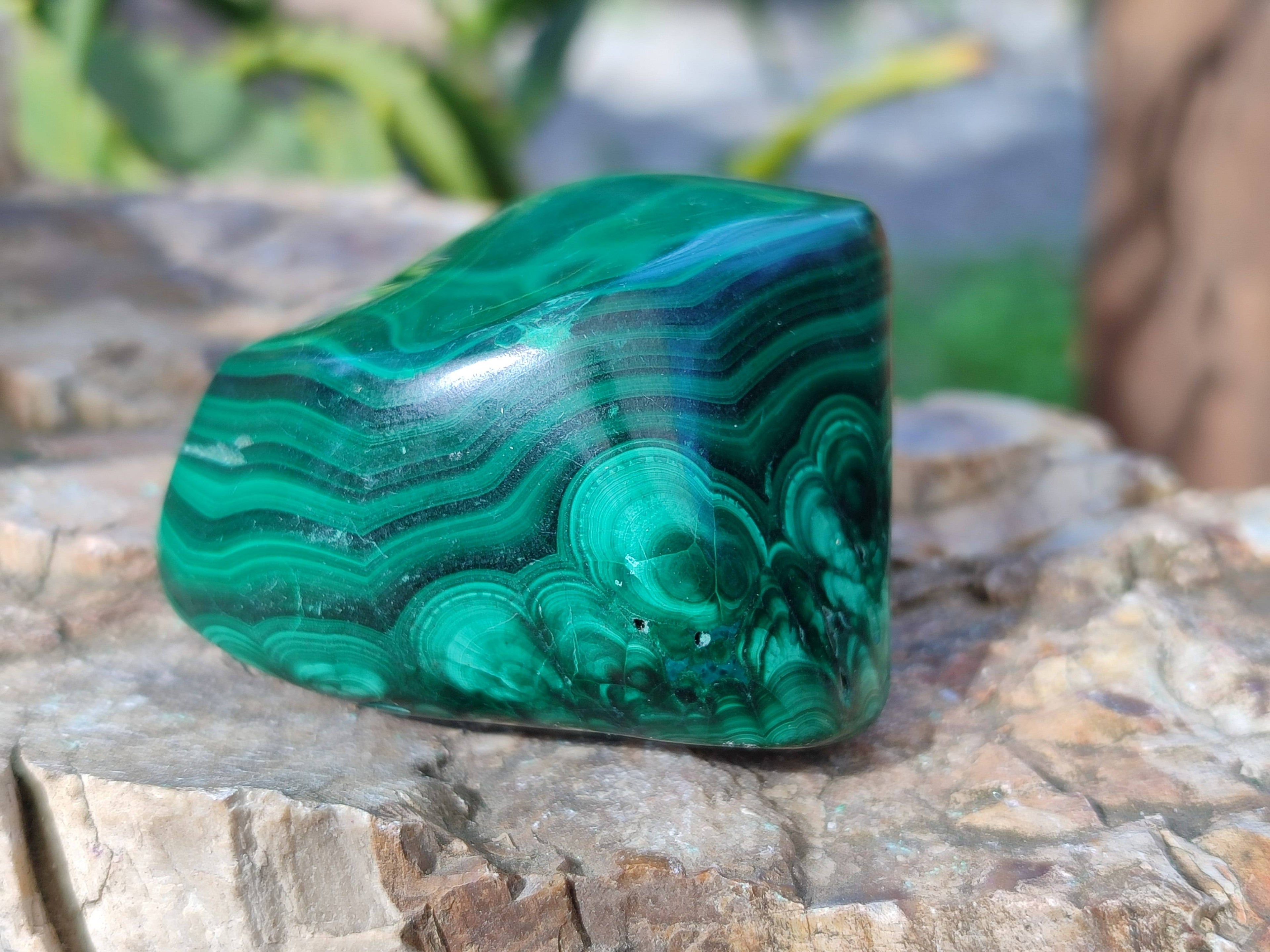 Polished Flower Malachite Free Forms x 6 From Congo - Toprock Gemstones and Minerals 