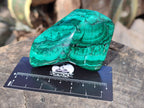 Polished Flower Malachite Free Forms x 6 From Congo - Toprock Gemstones and Minerals 