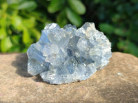 Natural Celestite Specimens x 12 From Sakoany, Madagascar