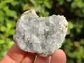 Natural Celestite Specimens x 12 From Sakoany, Madagascar - Toprock Gemstones and Minerals 