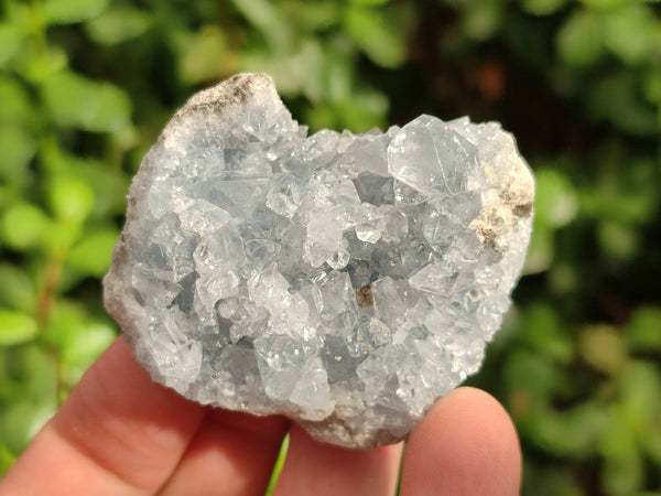 Natural Celestite Specimens x 12 From Sakoany, Madagascar