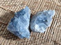 Natural Celestite Specimens x 12 From Sakoany, Madagascar