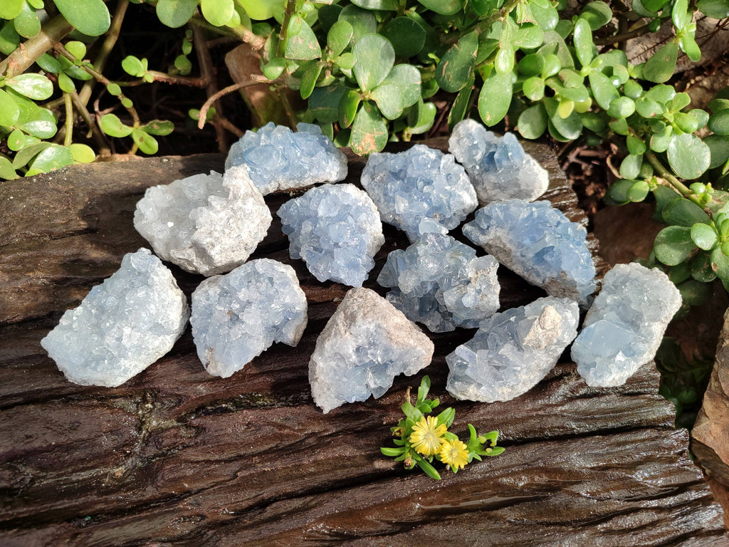 Natural Celestite Specimens x 12 From Sakoany, Madagascar - Toprock Gemstones and Minerals 