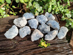 Natural Celestite Specimens x 12 From Sakoany, Madagascar - Toprock Gemstones and Minerals 