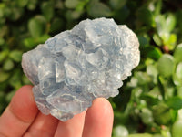 Natural Celestite Specimens x 12 From Sakoany, Madagascar