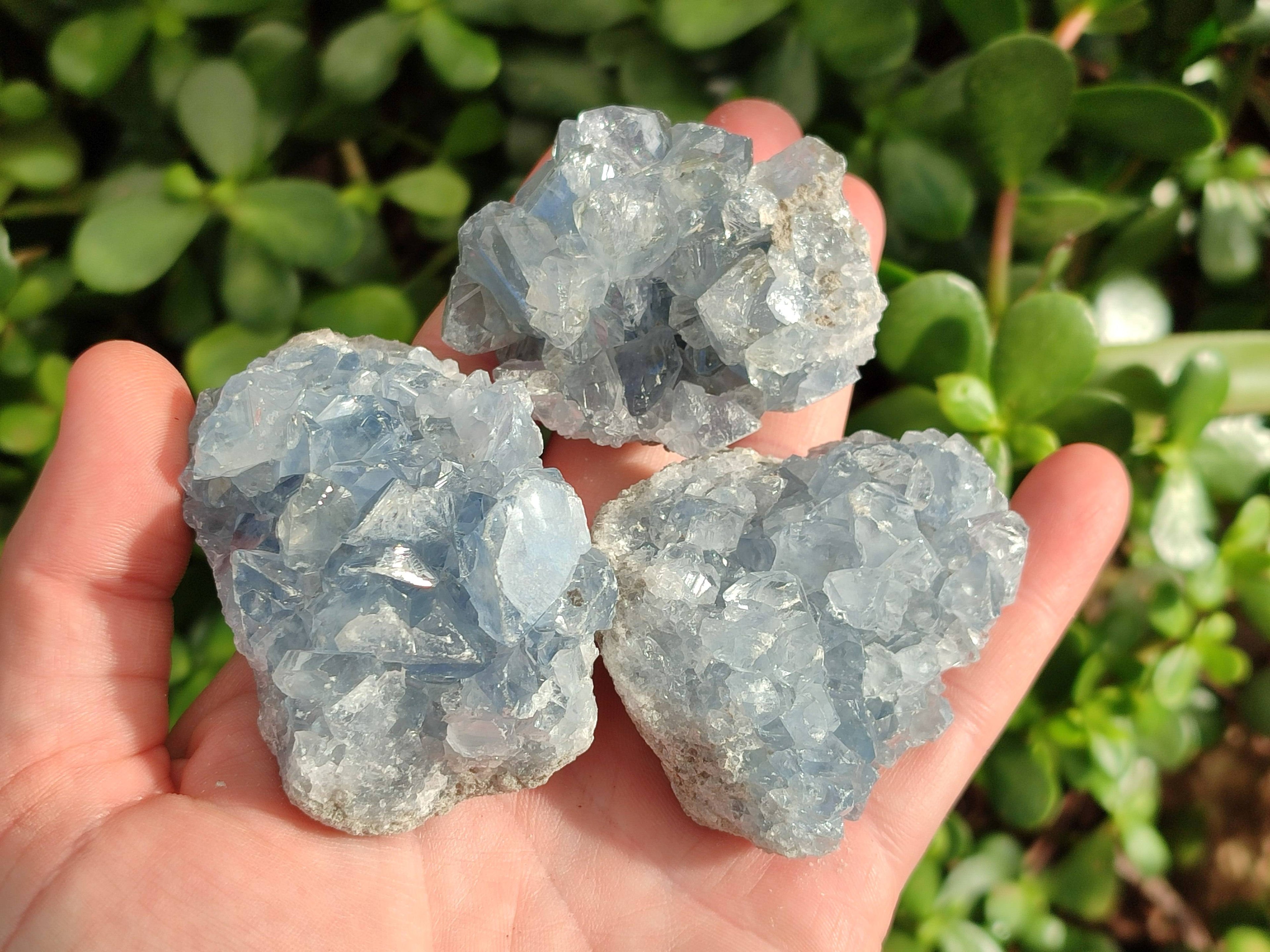 Natural Celestite Specimens x 12 From Sakoany, Madagascar - Toprock Gemstones and Minerals 