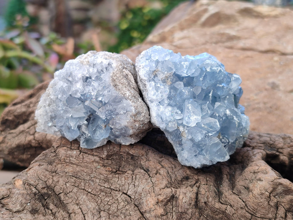 Natural Celestite Specimens x 12 From Sakoany, Madagascar - Toprock Gemstones and Minerals 