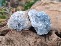 Natural Celestite Specimens x 12 From Sakoany, Madagascar
