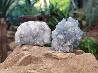 Natural Celestite Specimens x 12 From Sakoany, Madagascar
