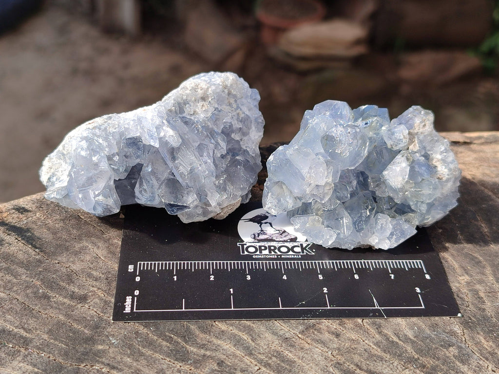 Natural Celestite Specimens x 12 From Sakoany, Madagascar - Toprock Gemstones and Minerals 