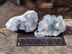 Natural Celestite Specimens x 12 From Sakoany, Madagascar - Toprock Gemstones and Minerals 