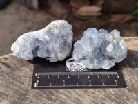 Natural Celestite Specimens x 12 From Sakoany, Madagascar