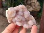 Natural Amethyst Spirit Quartz Clusters x 12 From Boekenhouthoek, South Africa - Toprock Gemstones and Minerals 