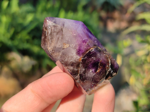 Polished Window Amethyst Crystals x 12 From Madagascar