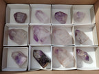 Polished Window Amethyst Crystals x 12 From Madagascar - Toprock Gemstones and Minerals 