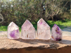 Polished Window Amethyst Crystals x 12 From Madagascar - Toprock Gemstones and Minerals 