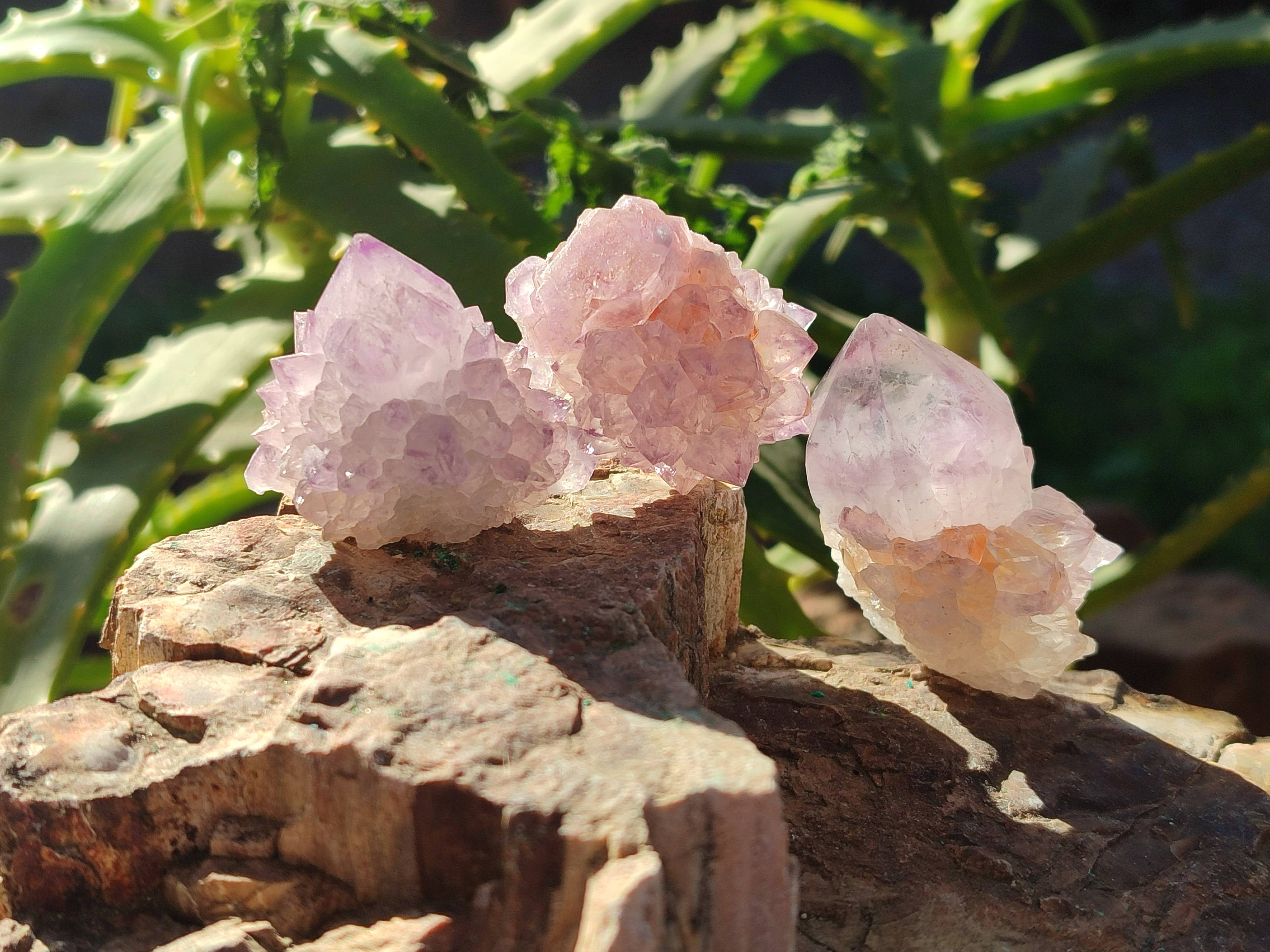 Natural Amethyst Spirit Quartz Crystals x 35 From Boekenhouthoek, South Africa - Toprock Gemstones and Minerals 