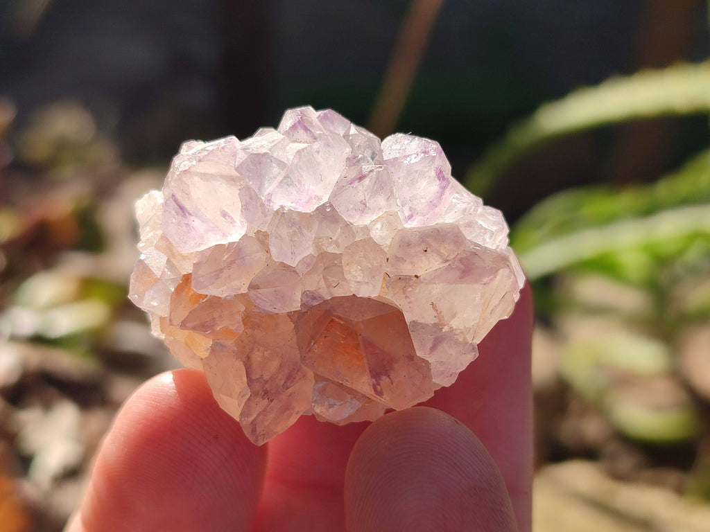 Natural Amethyst Spirit Quartz Crystals x 35 From Boekenhouthoek, South Africa - Toprock Gemstones and Minerals 