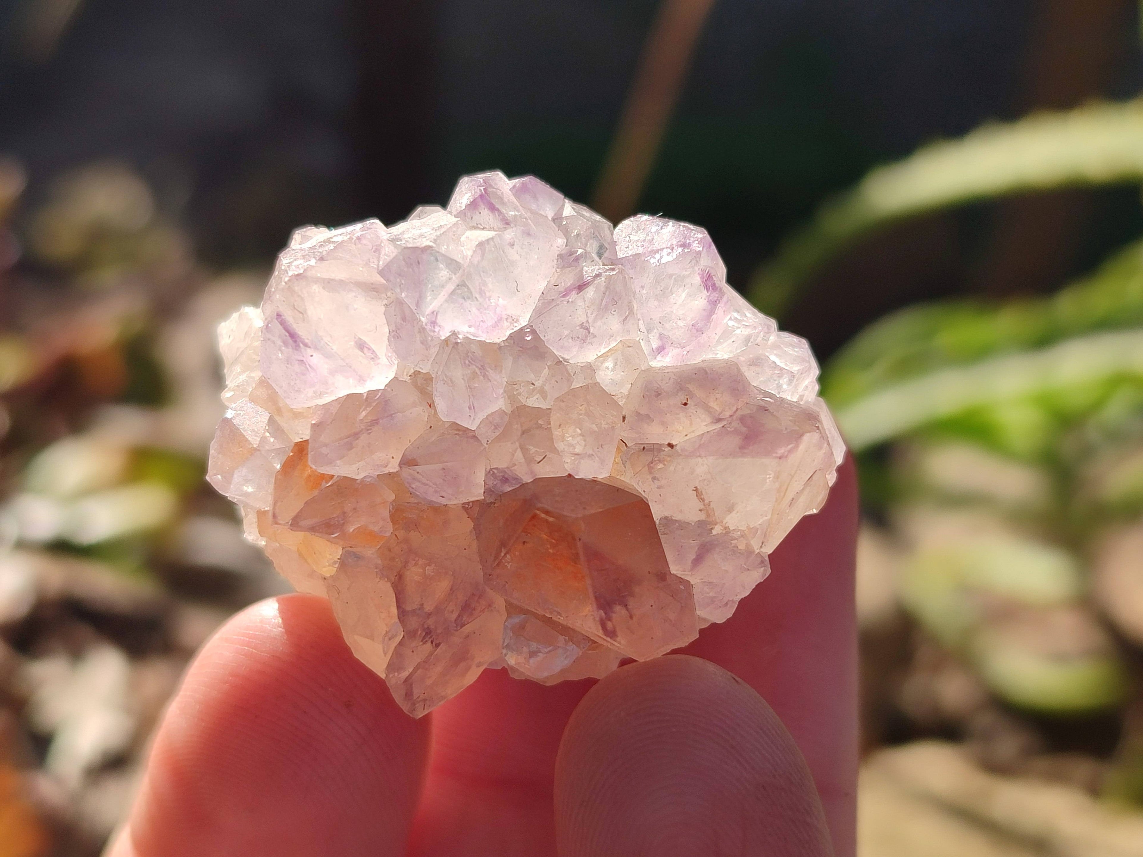 Natural Amethyst Spirit Quartz Crystals x 35 From Boekenhouthoek, South Africa - Toprock Gemstones and Minerals 