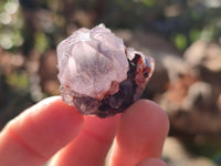 Natural Amethyst Spirit Quartz Crystals x 35 From Boekenhouthoek, South Africa