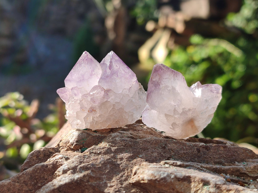 Natural Amethyst Spirit Quartz Crystals x 35 From Boekenhouthoek, South Africa - Toprock Gemstones and Minerals 