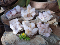 Natural Spirit Quartz Clusters x 6 From Boekenhouthoek, South Africa
