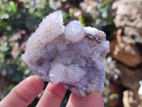Natural Spirit Quartz Clusters x 6 From Boekenhouthoek, South Africa