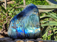 Polished Labradorite Standing Free Form x 1 From Tulear, Madagascar