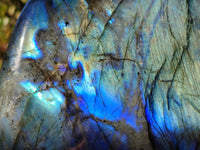 Polished Labradorite Standing Free Form x 1 From Tulear, Madagascar