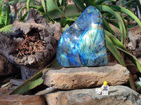 Polished Labradorite Standing Free Form x 1 From Tulear, Madagascar
