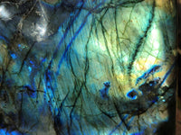 Polished Labradorite Standing Free Form x 1 From Tulear, Madagascar
