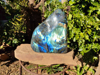 Polished Labradorite Standing Free Form x 1 From Tulear, Madagascar