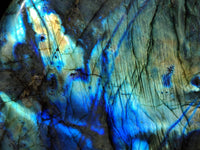 Polished Labradorite Standing Free Form x 1 From Tulear, Madagascar