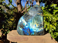 Polished Labradorite Standing Free Form x 1 From Tulear, Madagascar