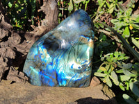 Polished Labradorite Standing Free Form x 1 From Tulear, Madagascar