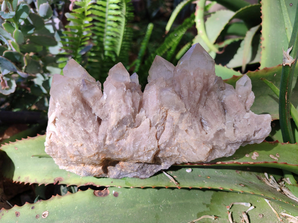 Natural Phantom Smokey Quartz Clusters x 3 From Luena, Congo - Toprock Gemstones and Minerals 