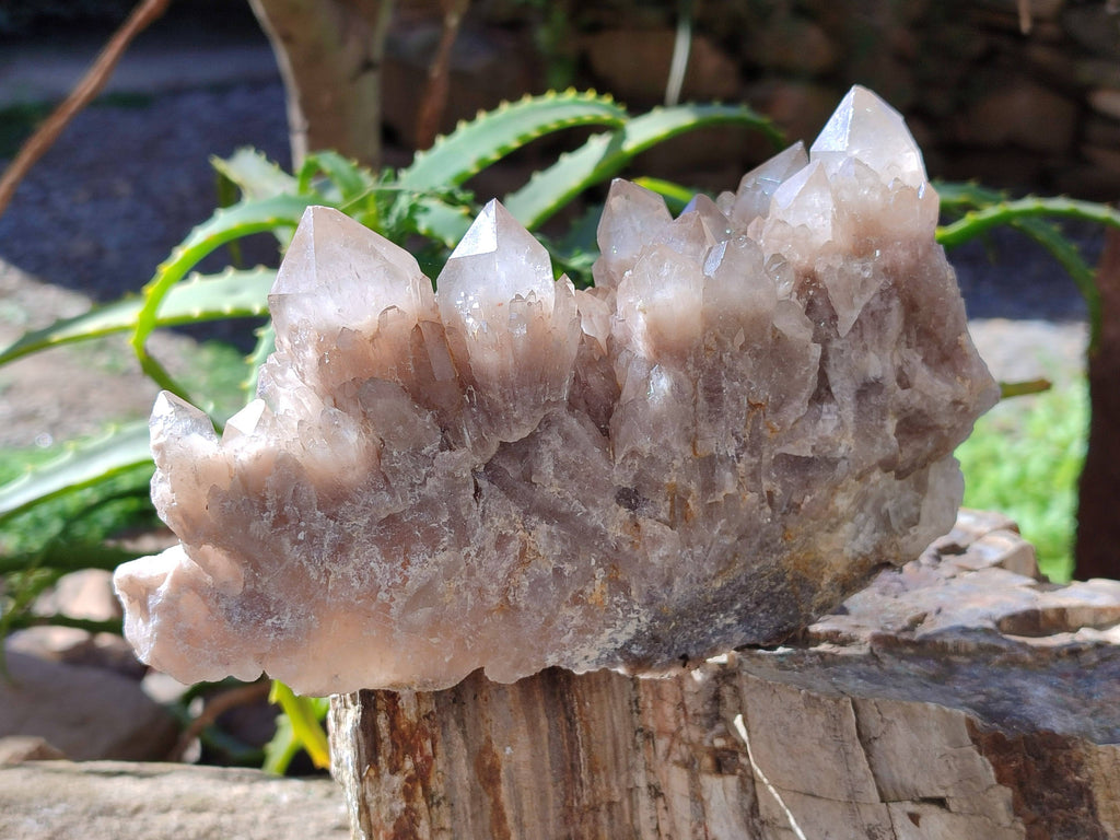 Natural Phantom Smokey Quartz Clusters x 3 From Luena, Congo - Toprock Gemstones and Minerals 