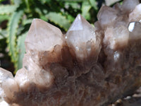 Natural Phantom Smokey Quartz Clusters x 3 From Luena, Congo