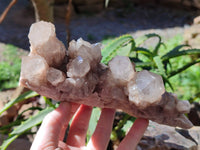 Natural Phantom Smokey Quartz Clusters x 3 From Luena, Congo