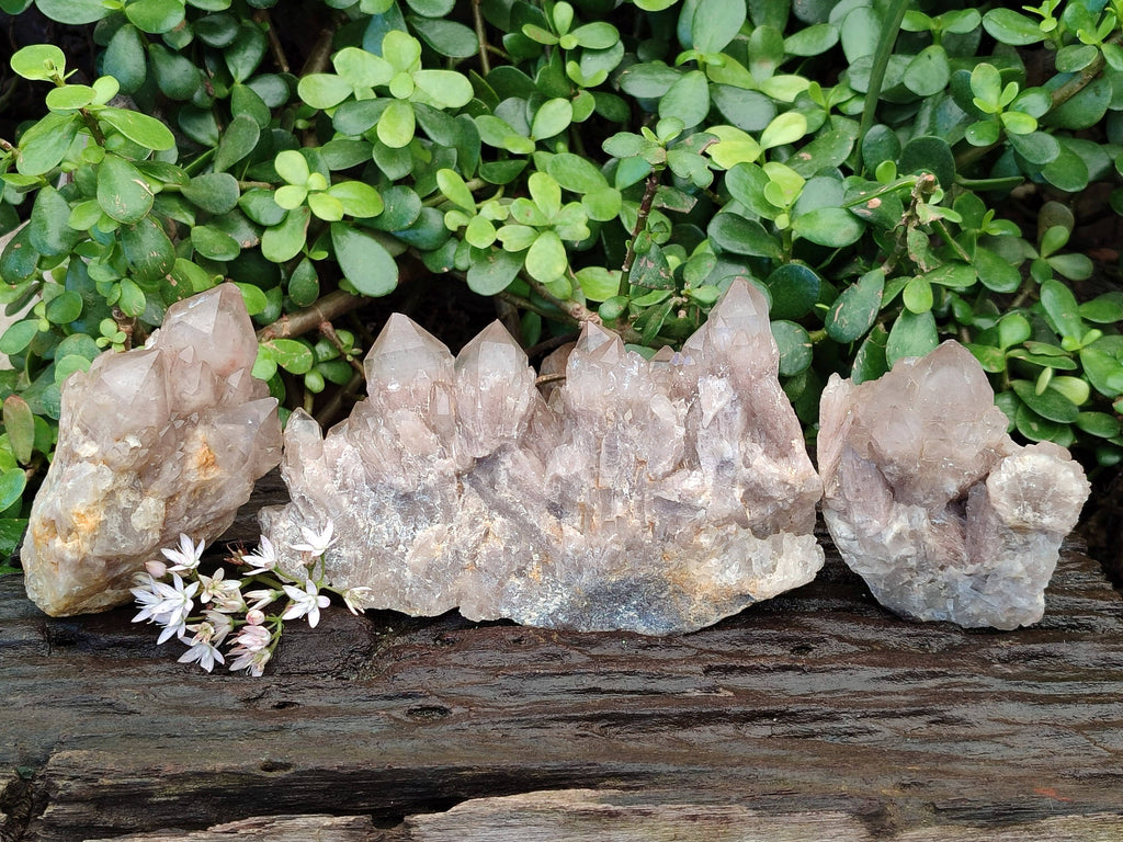 Natural Phantom Smokey Quartz Clusters x 3 From Luena, Congo - Toprock Gemstones and Minerals 