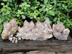 Natural Phantom Smokey Quartz Clusters x 3 From Luena, Congo - Toprock Gemstones and Minerals 