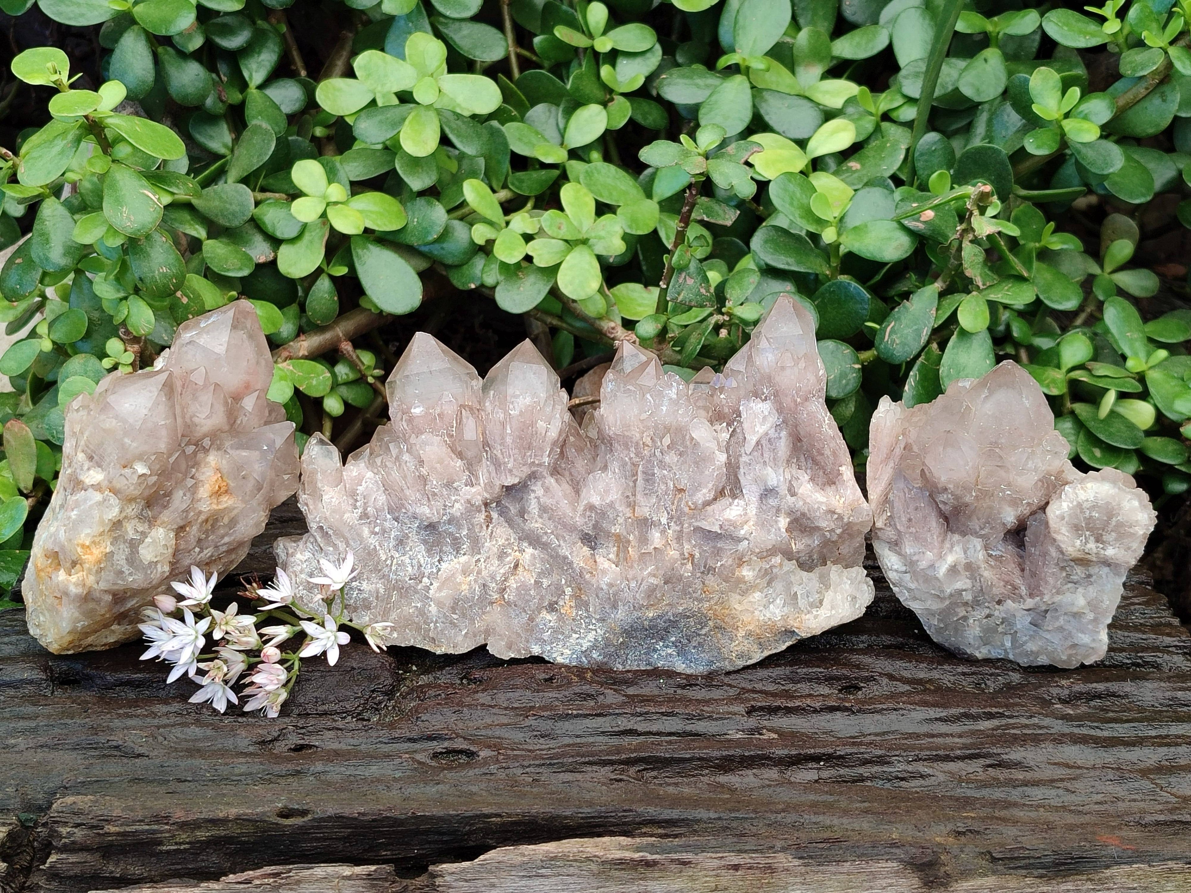 Natural Phantom Smokey Quartz Clusters x 3 From Luena, Congo - Toprock Gemstones and Minerals 
